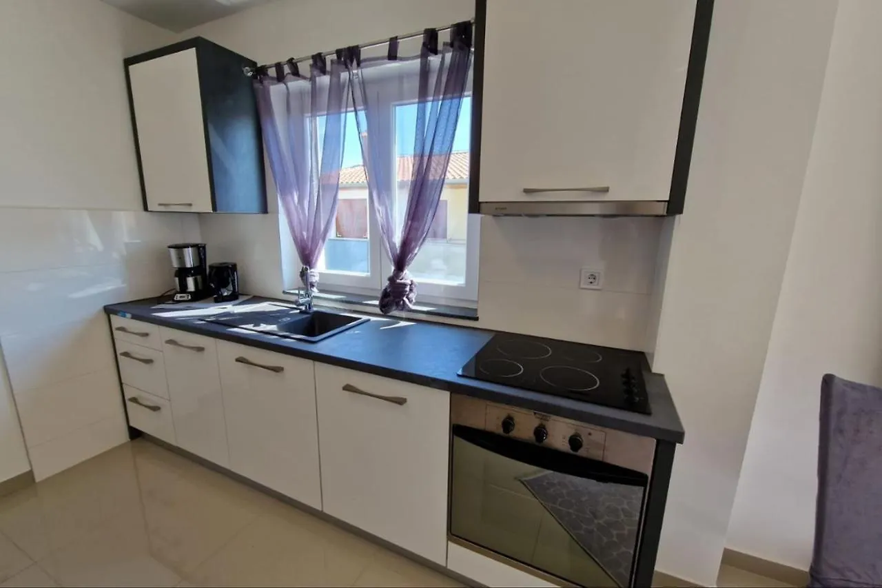 Villa Amra Apartments In Porec For Max 27 Persons Croazia